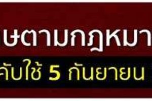 ดกดกด